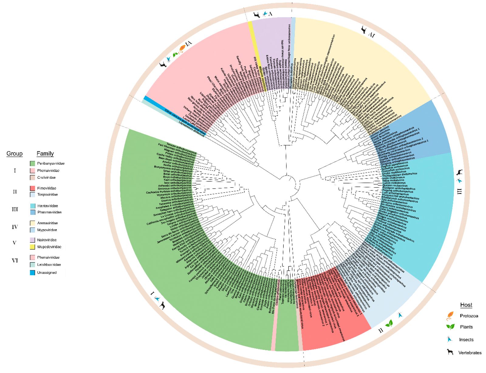 Figure from the virus characterization study