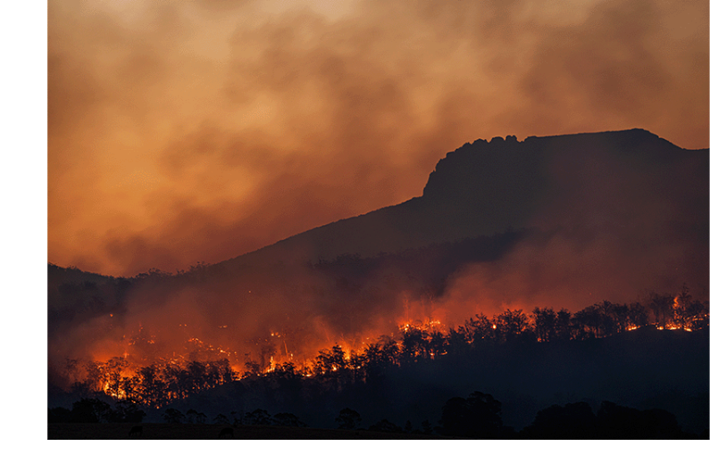 Wildfire threatening a southwestern forest