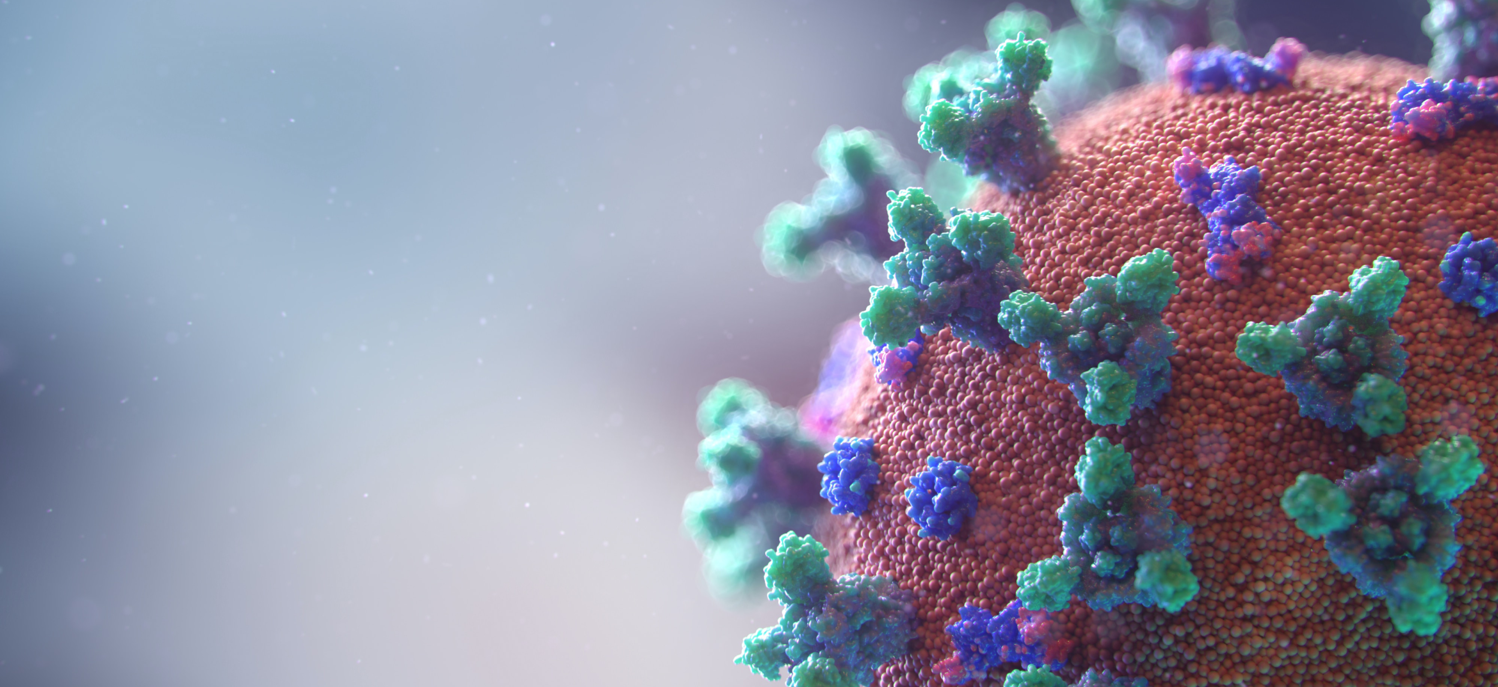 Computational modeling unveils dynamics of SARS-CoV-2 infection